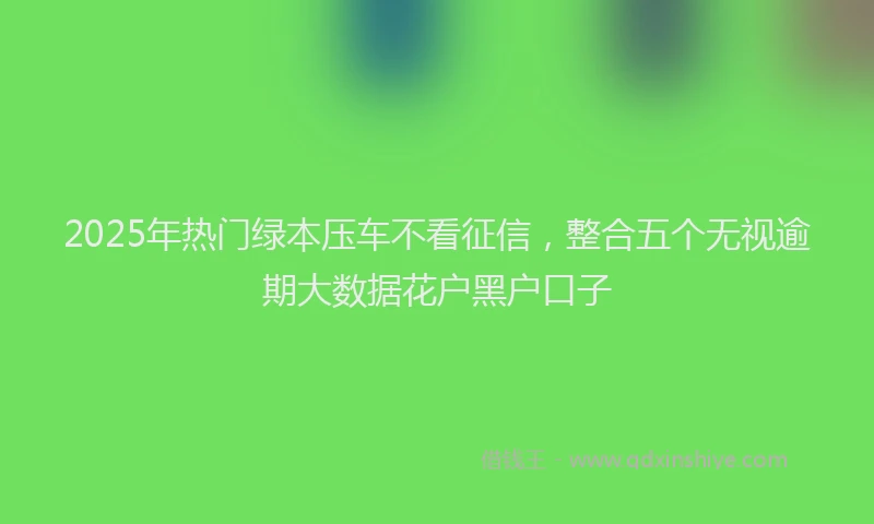 2025年热门绿本压车不看征信，整合五个无视逾期大数据花户黑户口子