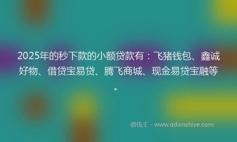 2025年的秒下款的小额贷款有：飞猪钱包、鑫诚好物、借贷宝易贷、腾飞商城、现金易贷宝融等。