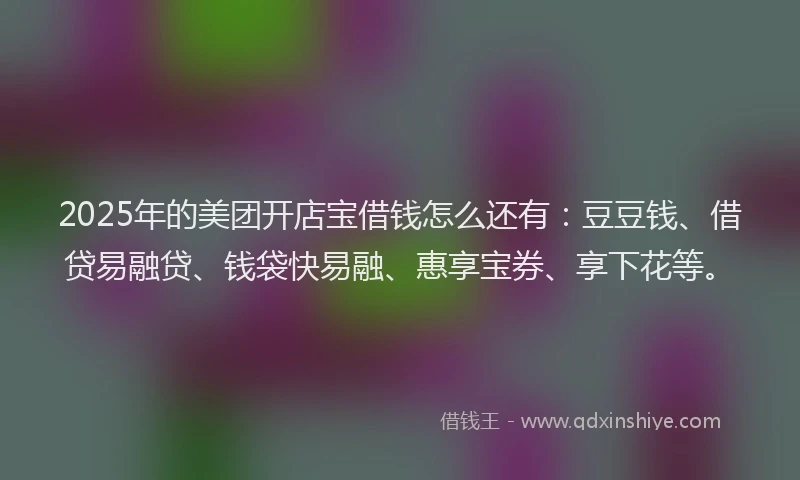 2025年的美团开店宝借钱怎么还有：豆豆钱、借贷易融贷、钱袋快易融、惠享宝券、享下花等。