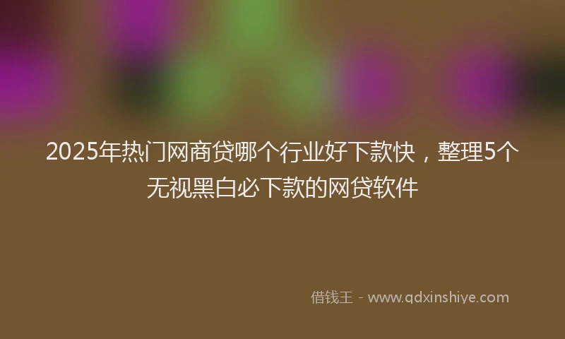 2025年热门网商贷哪个行业好下款快，整理5个无视黑白必下款的网贷软件