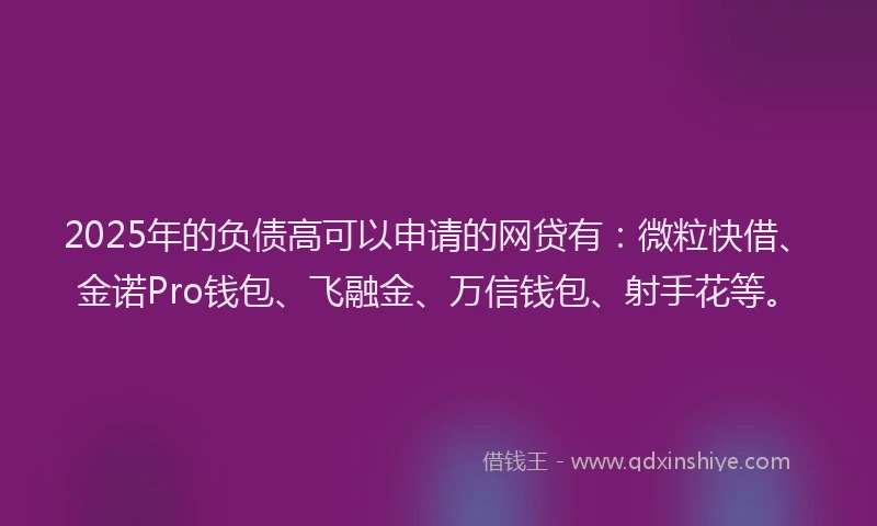 2025年的负债高可以申请的网贷有：微粒快借、金诺Pro钱包、飞融金、万信钱包、射手花等。