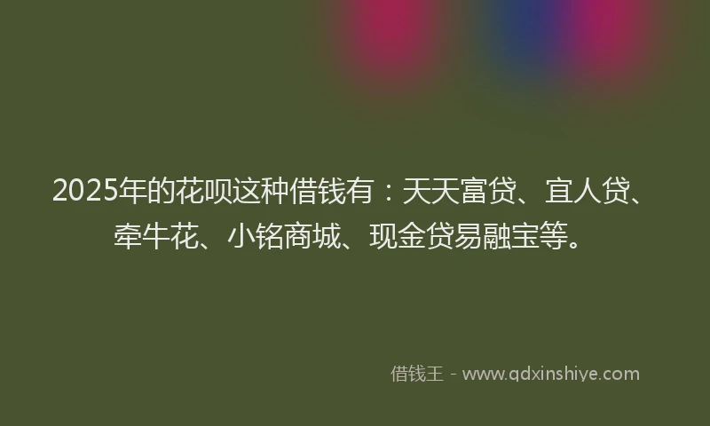 2025年的花呗这种借钱有：天天富贷、宜人贷、牵牛花、小铭商城、现金贷易融宝等。