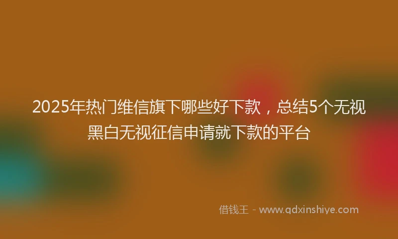 2025年热门维信旗下哪些好下款，总结5个无视黑白无视征信申请就下款的平台