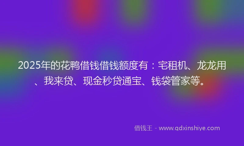 2025年的花鸭借钱借钱额度有：宅租机、龙龙用、我来贷、现金秒贷通宝、钱袋管家等。