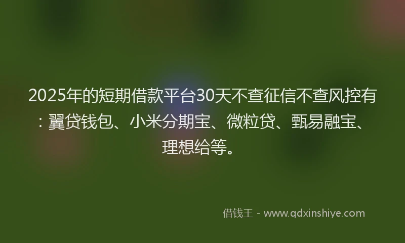 2025年的短期借款平台30天不查征信不查风控有：翼贷钱包、小米分期宝、微粒贷、甄易融宝、理想给等。