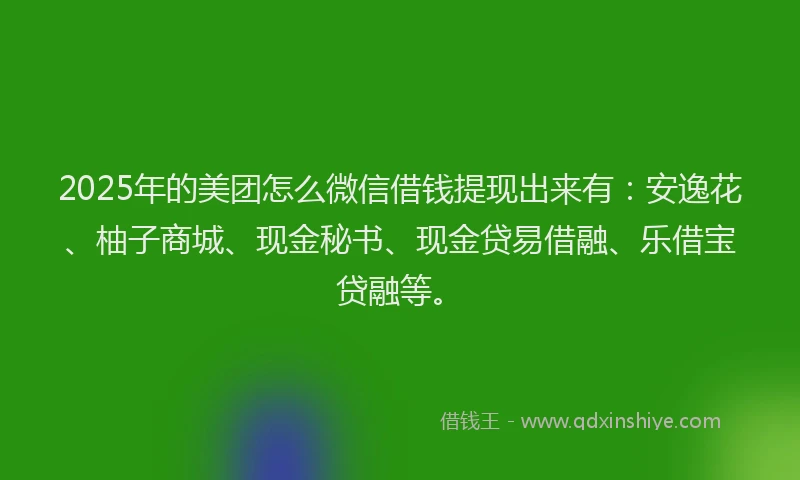 2025年的美团怎么微信借钱提现出来有：安逸花、柚子商城、现金秘书、现金贷易借融、乐借宝贷融等。
