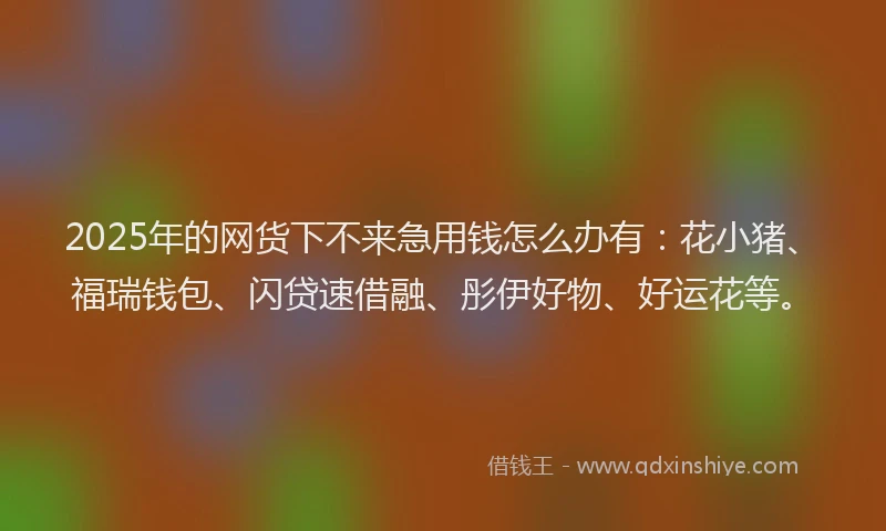 2025年的网货下不来急用钱怎么办有：花小猪、福瑞钱包、闪贷速借融、彤伊好物、好运花等。