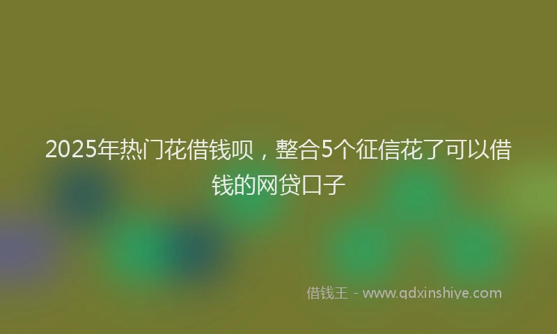 2025年热门花借钱呗，整合5个征信花了可以借钱的网贷口子