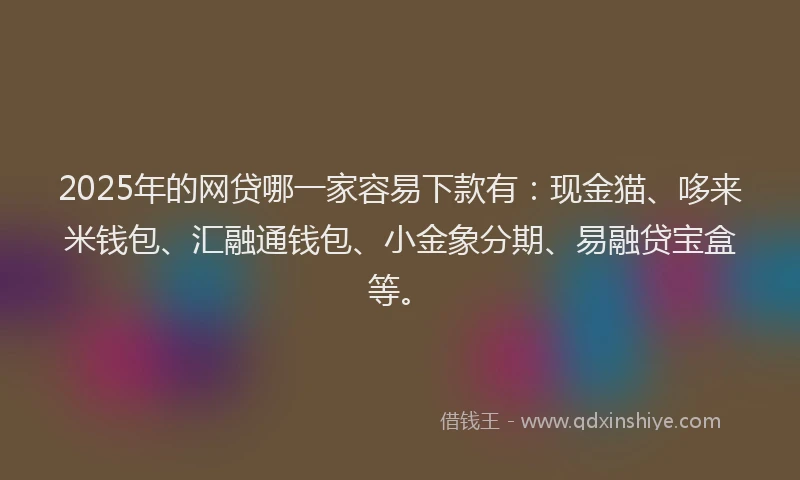 2025年的网贷哪一家容易下款有：现金猫、哆来米钱包、汇融通钱包、小金象分期、易融贷宝盒等。