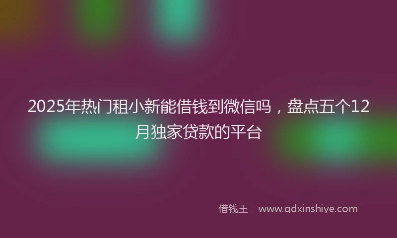 2025年热门租小新能借钱到微信吗，盘点五个12月独家贷款的平台