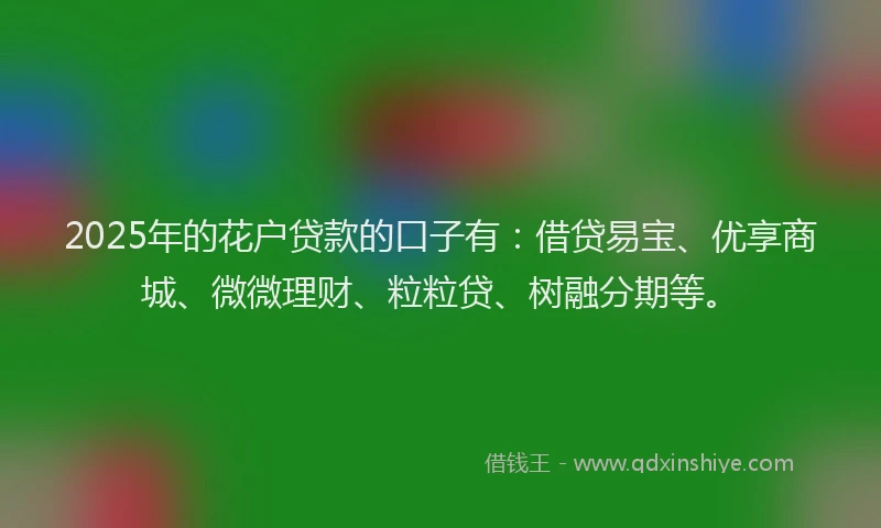 2025年的花户贷款的口子有：借贷易宝、优享商城、微微理财、粒粒贷、树融分期等。