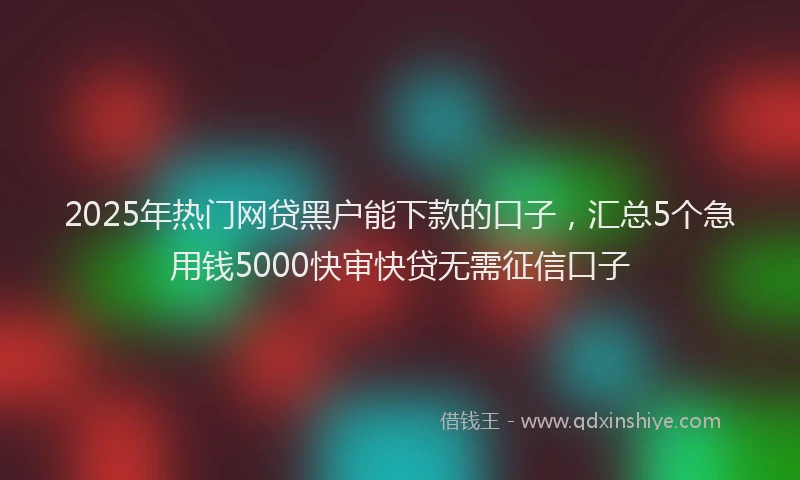 2025年热门网贷黑户能下款的口子，汇总5个急用钱5000快审快贷无需征信口子