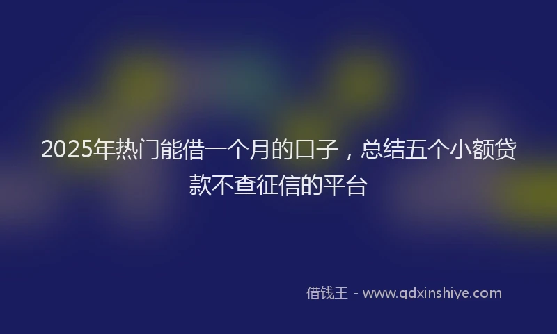 2025年热门能借一个月的口子，总结五个小额贷款不查征信的平台