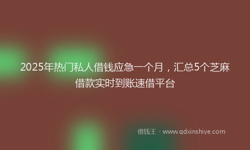 2025年热门私人借钱应急一个月，汇总5个芝麻借款实时到账速借平台