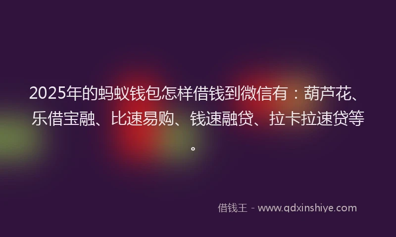 2025年的蚂蚁钱包怎样借钱到微信有：葫芦花、乐借宝融、比速易购、钱速融贷、拉卡拉速贷等。
