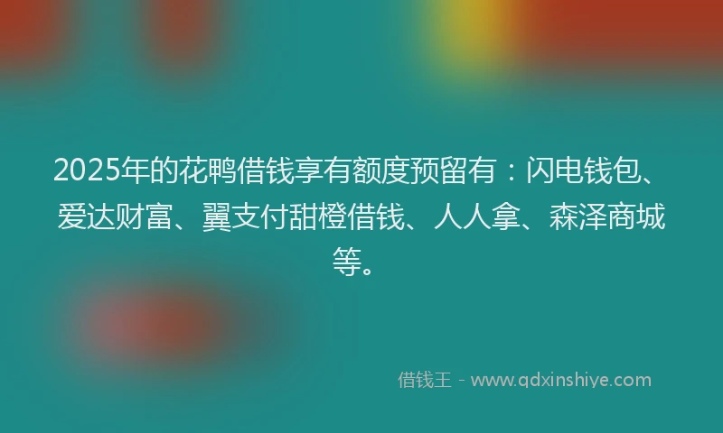2025年的花鸭借钱享有额度预留有：闪电钱包、爱达财富、翼支付甜橙借钱、人人拿、森泽商城等。