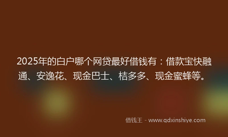 2025年的白户哪个网贷最好借钱有：借款宝快融通、安逸花、现金巴士、桔多多、现金蜜蜂等。