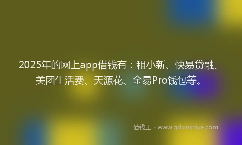 2025年的网上app借钱有：租小新、快易贷融、美团生活费、天源花、金易Pro钱包等。
