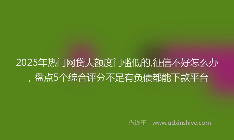 2025年热门网贷大额度门槛低的,征信不好怎么办，盘点5个综合评分不足有负债都能下款平台