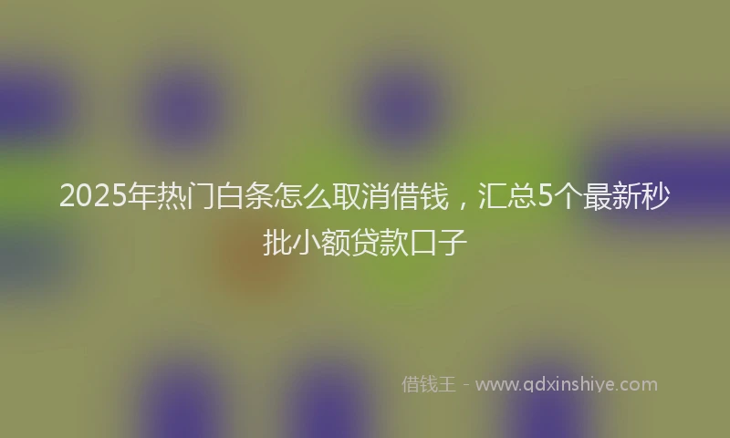 2025年热门白条怎么取消借钱，汇总5个最新秒批小额贷款口子