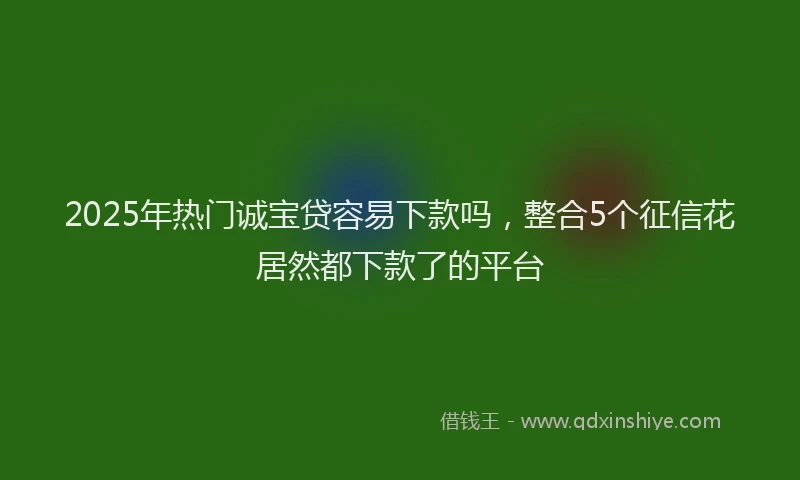 2025年热门诚宝贷容易下款吗，整合5个征信花居然都下款了的平台