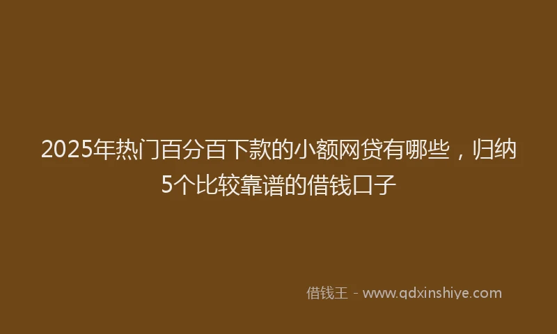 2025年热门百分百下款的小额网贷有哪些，归纳5个比较靠谱的借钱口子
