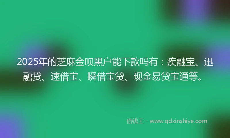 2025年的芝麻金呗黑户能下款吗有：疾融宝、迅融贷、速借宝、瞬借宝贷、现金易贷宝通等。