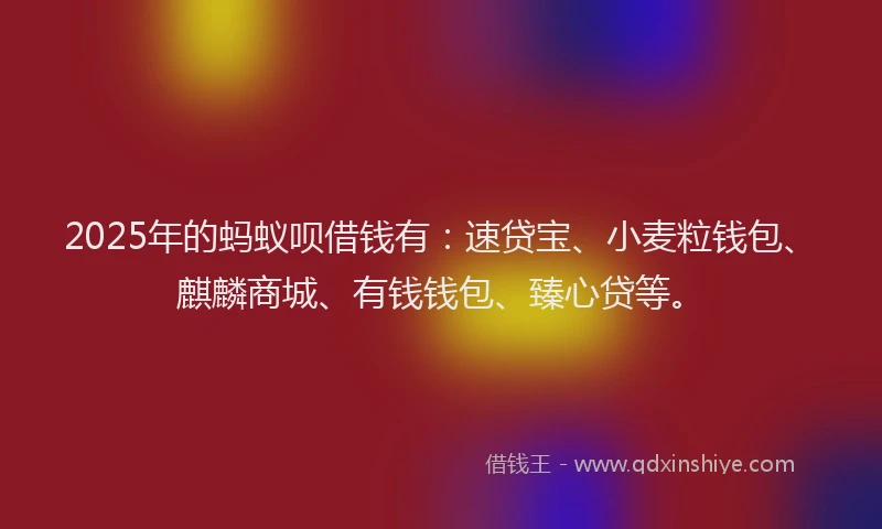 2025年的蚂蚁呗借钱有：速贷宝、小麦粒钱包、麒麟商城、有钱钱包、臻心贷等。