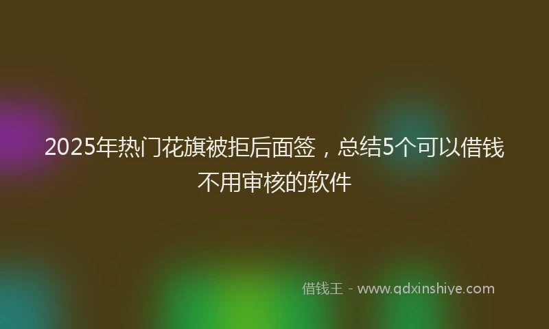 2025年热门花旗被拒后面签，总结5个可以借钱不用审核的软件