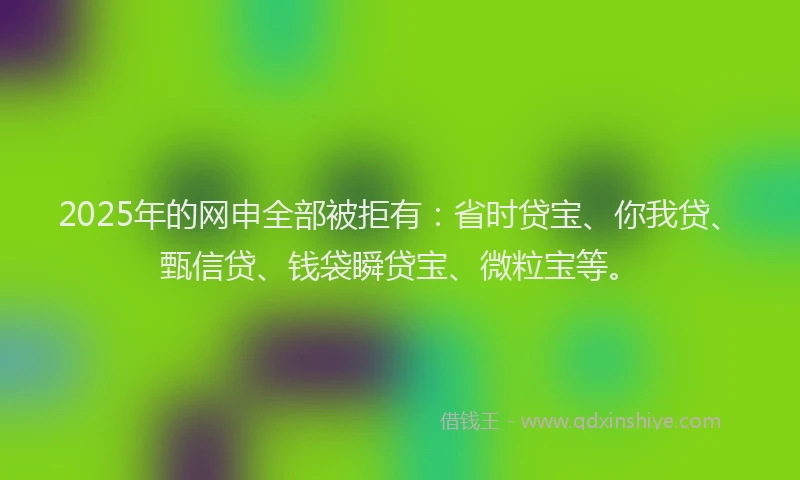 2025年的网申全部被拒有：省时贷宝、你我贷、甄信贷、钱袋瞬贷宝、微粒宝等。