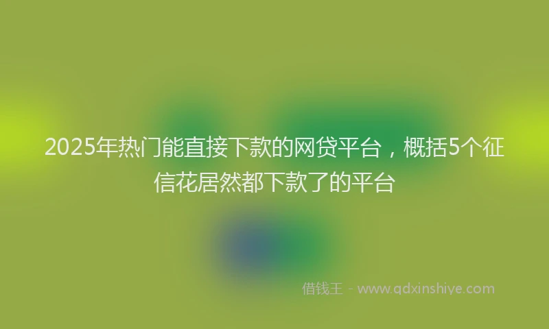 2025年热门能直接下款的网贷平台，概括5个征信花居然都下款了的平台