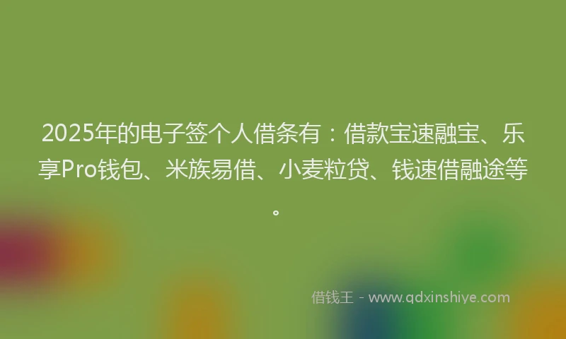 2025年的电子签个人借条有：借款宝速融宝、乐享Pro钱包、米族易借、小麦粒贷、钱速借融途等。