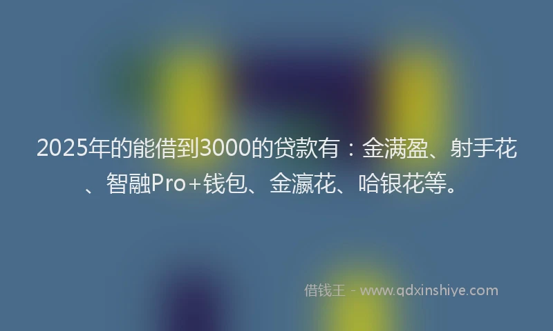 2025年的能借到3000的贷款有：金满盈、射手花、智融Pro+钱包、金瀛花、哈银花等。