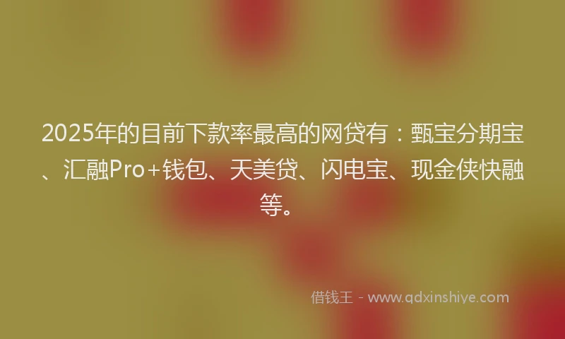 2025年的目前下款率最高的网贷有：甄宝分期宝、汇融Pro+钱包、天美贷、闪电宝、现金侠快融等。