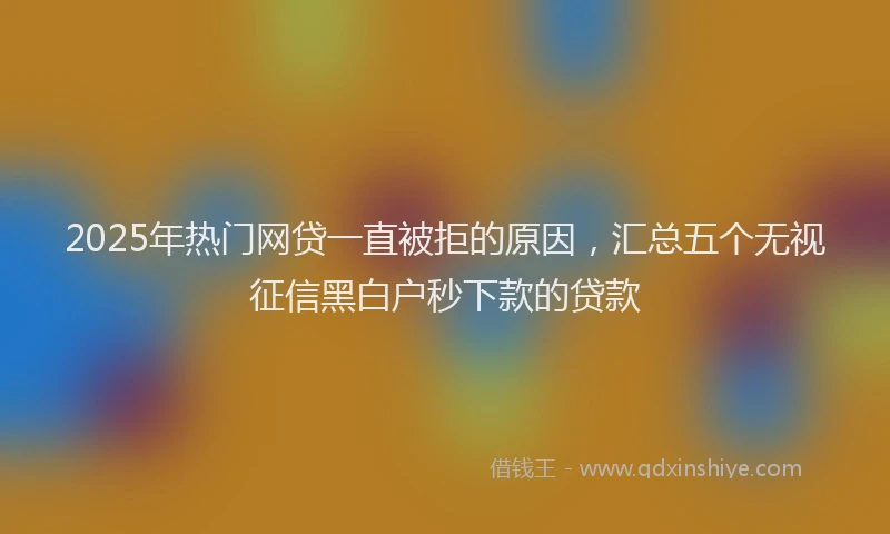 2025年热门网贷一直被拒的原因，汇总五个无视征信黑白户秒下款的贷款