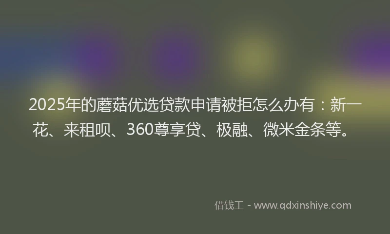 2025年的蘑菇优选贷款申请被拒怎么办有：新一花、来租呗、360尊享贷、极融、微米金条等。