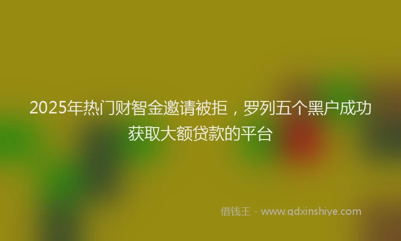 2025年热门财智金邀请被拒，罗列五个黑户成功获取大额贷款的平台