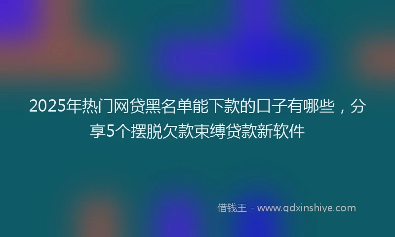 2025年热门网贷黑名单能下款的口子有哪些，分享5个摆脱欠款束缚贷款新软件