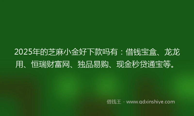 2025年的芝麻小金好下款吗有：借钱宝盒、龙龙用、恒瑞财富网、独品易购、现金秒贷通宝等。
