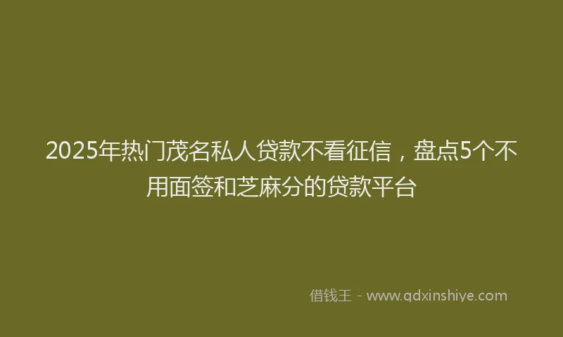 2025年热门茂名私人贷款不看征信，盘点5个不用面签和芝麻分的贷款平台