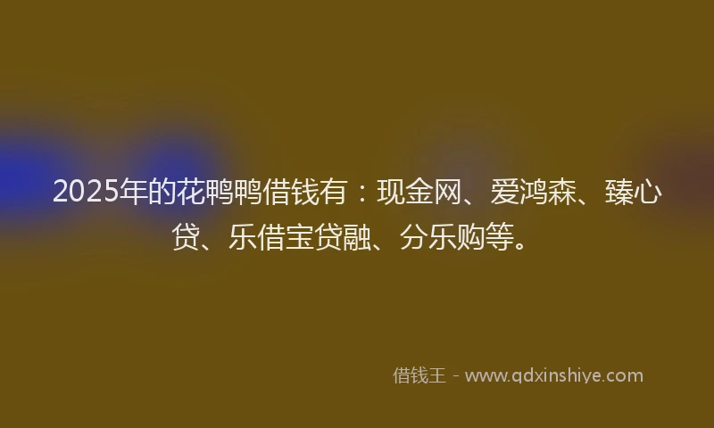 2025年的花鸭鸭借钱有：现金网、爱鸿森、臻心贷、乐借宝贷融、分乐购等。