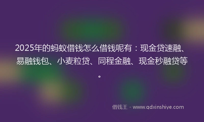 2025年的蚂蚁借钱怎么借钱呢有：现金贷速融、易融钱包、小麦粒贷、同程金融、现金秒融贷等。