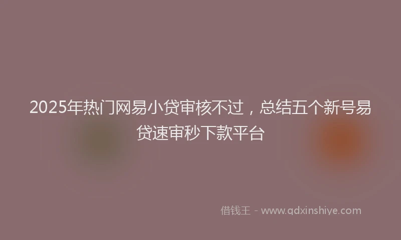 2025年热门网易小贷审核不过，总结五个新号易贷速审秒下款平台
