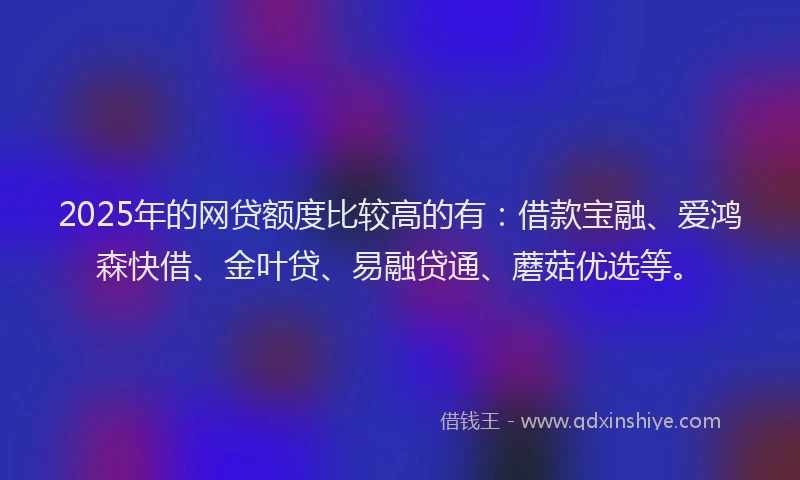 2025年的网贷额度比较高的有：借款宝融、爱鸿森快借、金叶贷、易融贷通、蘑菇优选等。