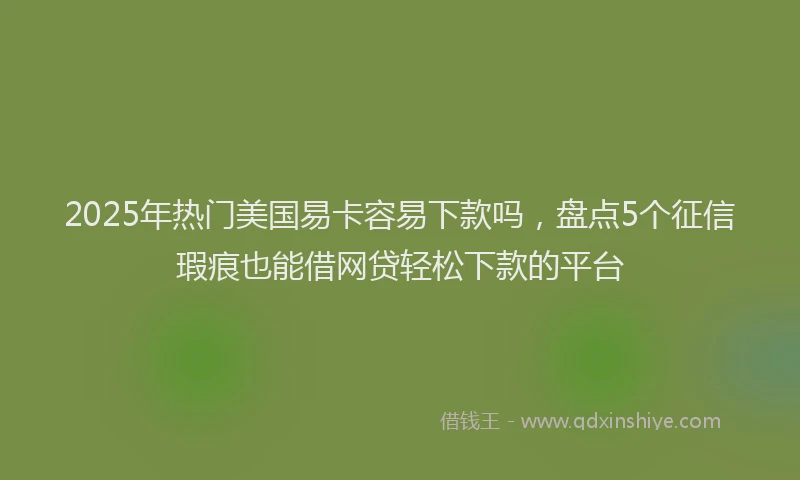 2025年热门美国易卡容易下款吗，盘点5个征信瑕疵也能借网贷轻松下款的平台