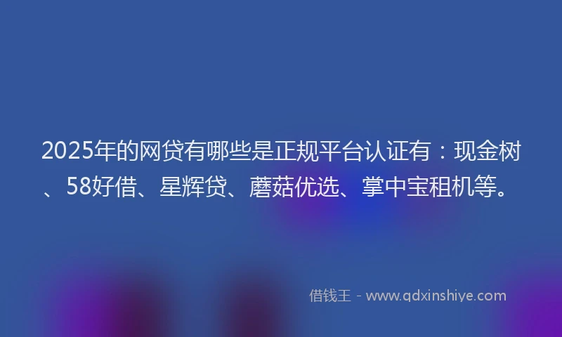 2025年的网贷有哪些是正规平台认证有：现金树、58好借、星辉贷、蘑菇优选、掌中宝租机等。