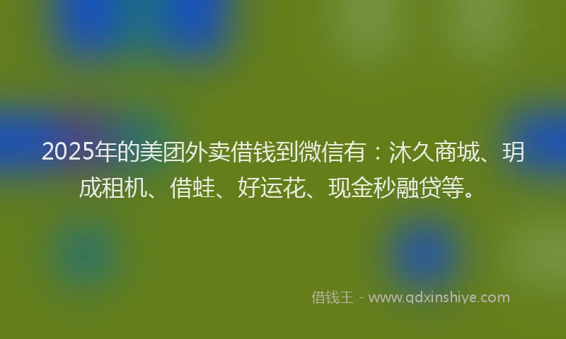 2025年的美团外卖借钱到微信有：沐久商城、玥成租机、借蛙、好运花、现金秒融贷等。