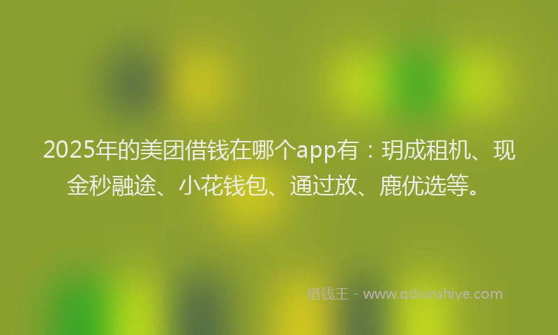 2025年的美团借钱在哪个app有：玥成租机、现金秒融途、小花钱包、通过放、鹿优选等。