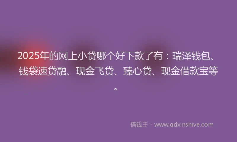 2025年的网上小贷哪个好下款了有：瑞泽钱包、钱袋速贷融、现金飞贷、臻心贷、现金借款宝等。