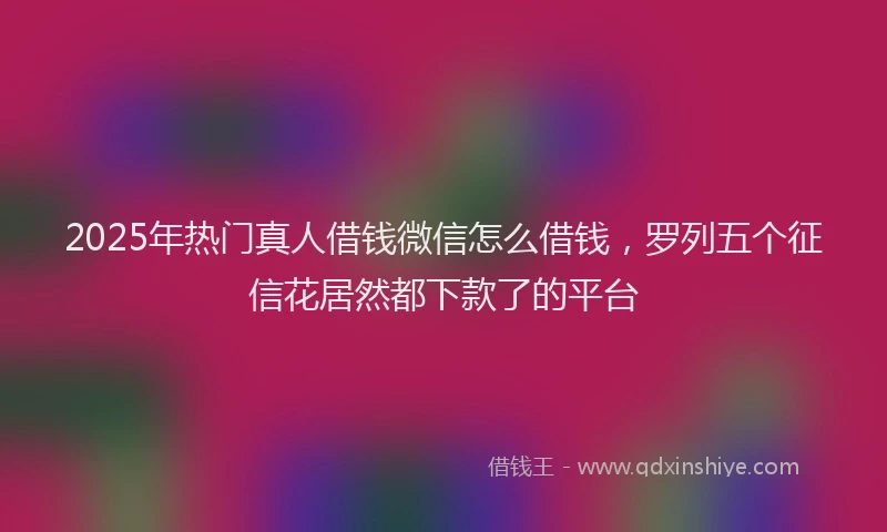 2025年热门真人借钱微信怎么借钱，罗列五个征信花居然都下款了的平台